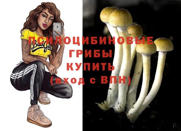 скорость Алексин