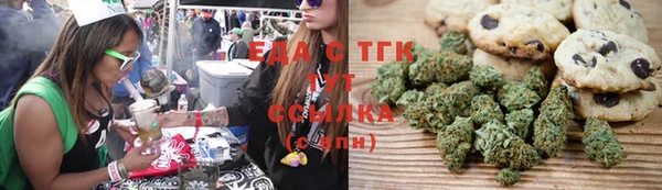 spice Алзамай