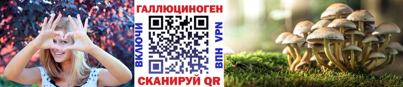 Купить закладки  Бабаево  Галлюциногенные грибы GOLDEN TEACHER 